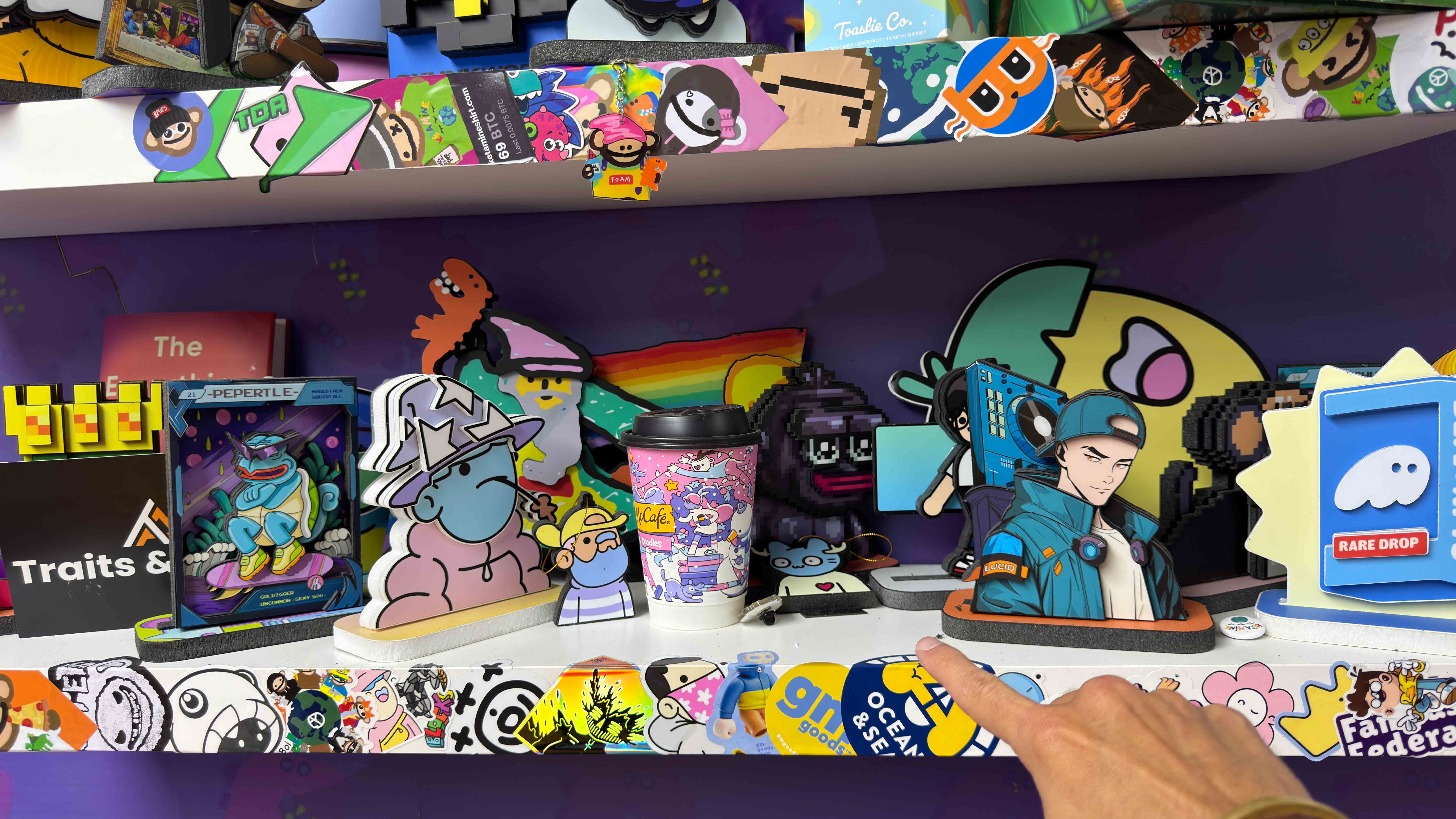 foami foamiis on shelf