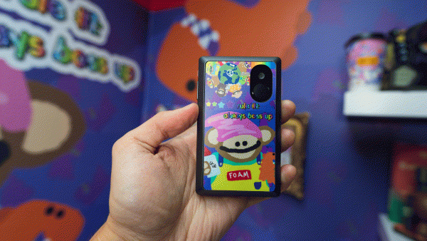 foami made walletskinz for Keystone pro 3 crypto hard wallet featuring Famous Fox Federation solana NFT project